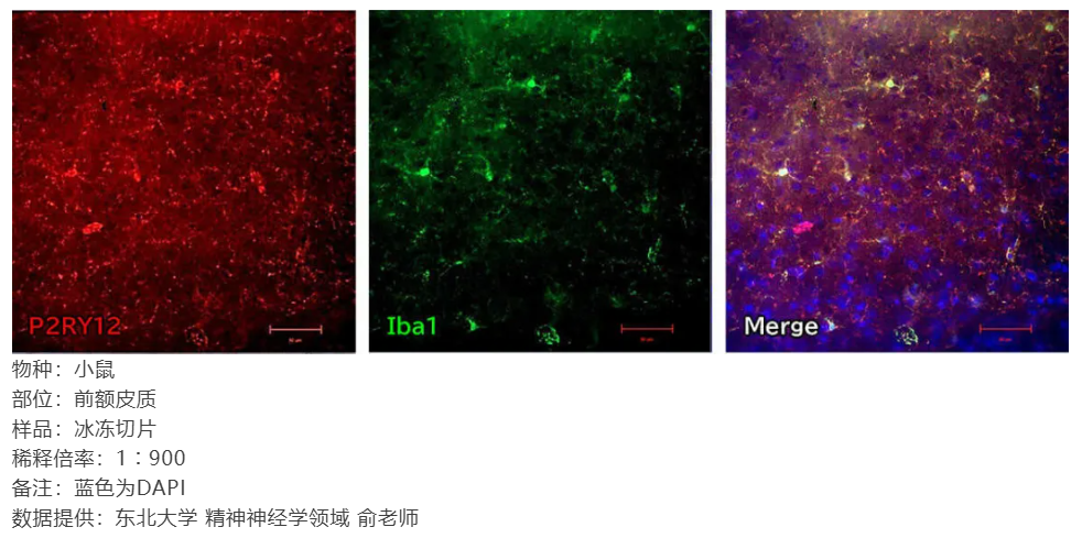 67ab011a46b62.png image.png