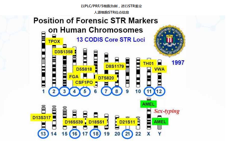 68ea0d2c18834.png image.png