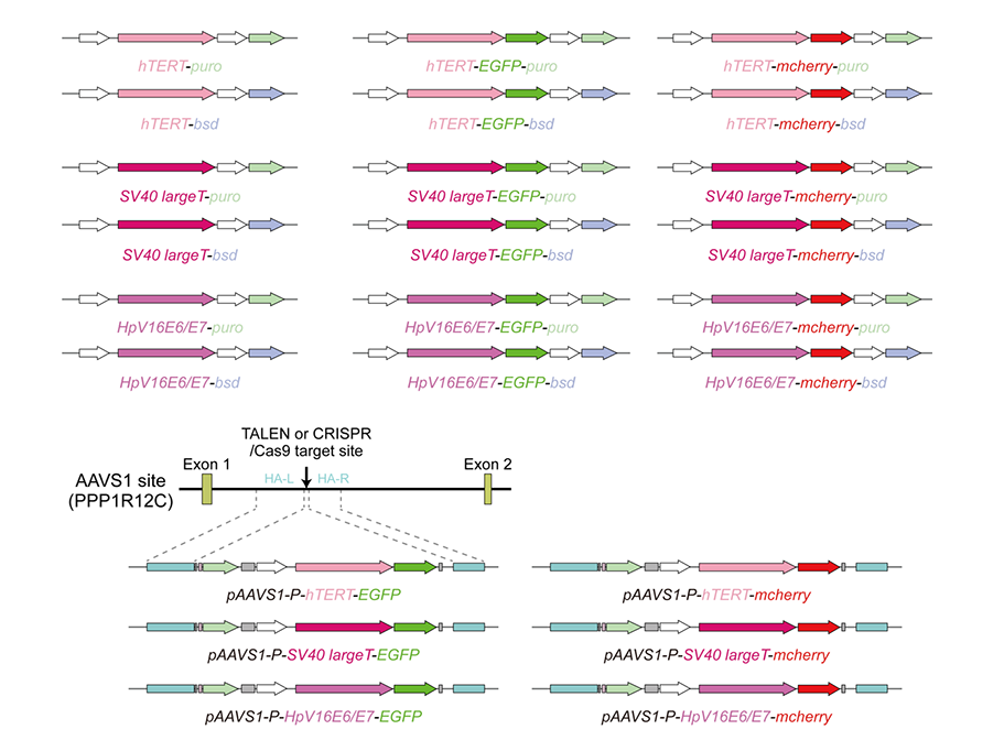 68ea0e6393d49.png image.png